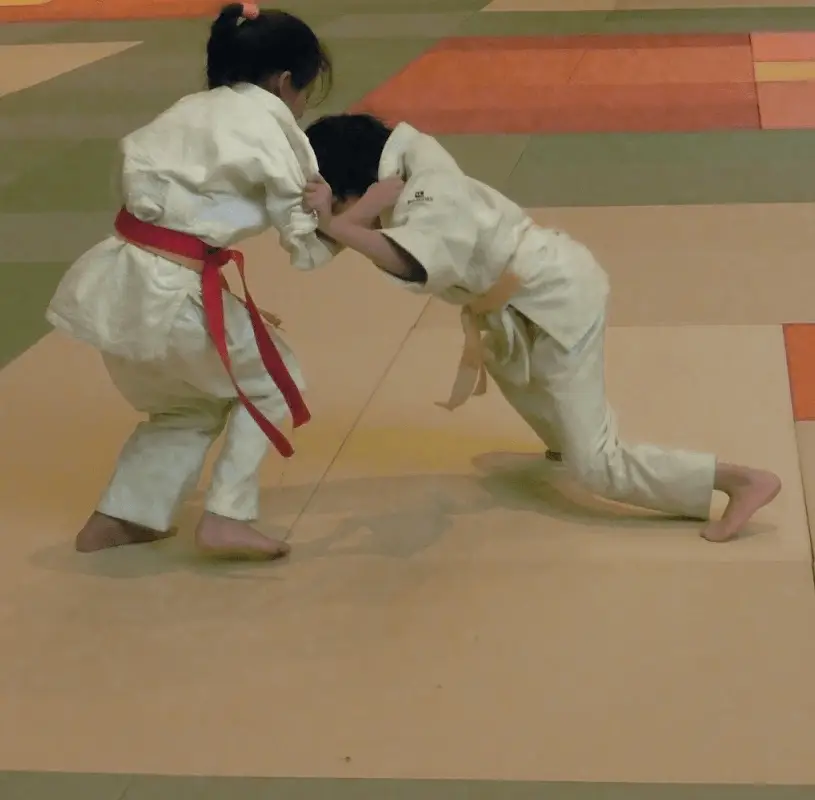 Ussp Amikuze Judo