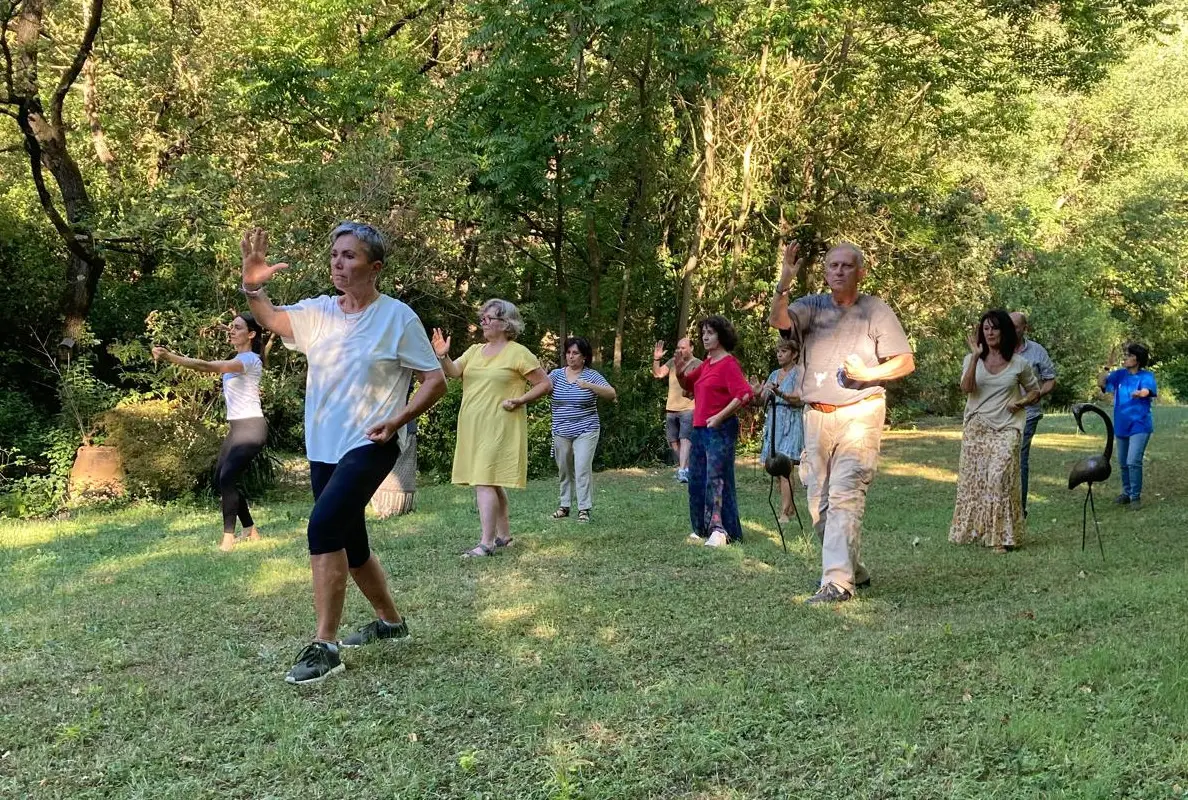 Alignment Tai Chi Chuan -
