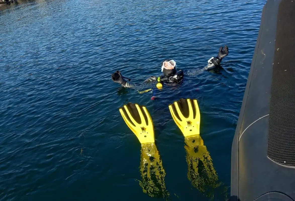 C & C Marine Services