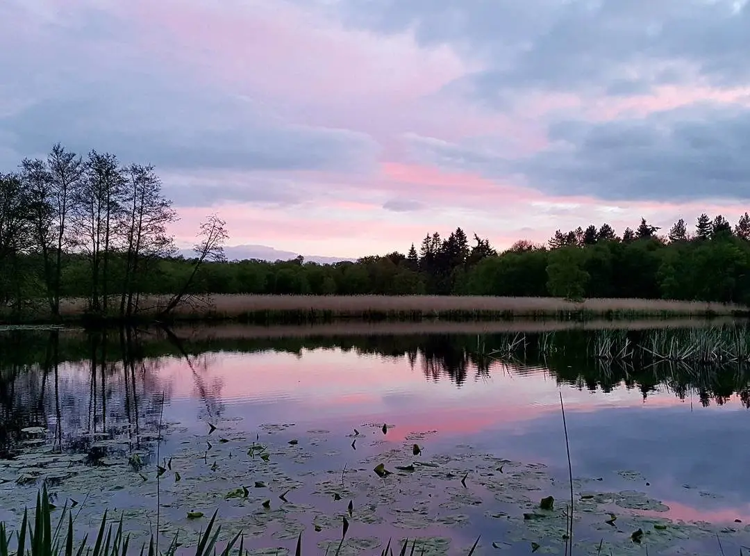 Scoulton Mere Fishery