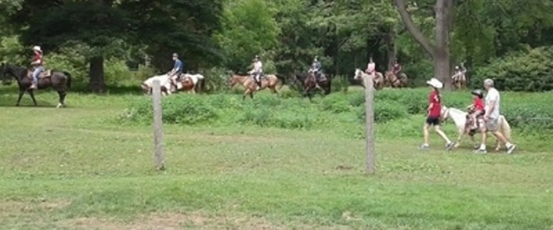 T J Stables