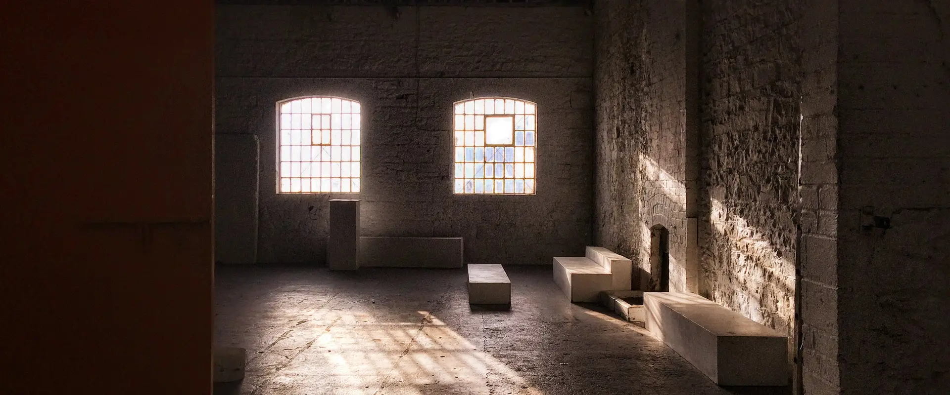 D-Light Studios