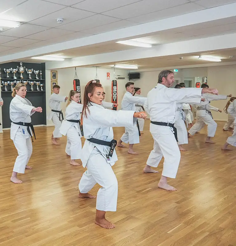 The Karate Dojo - Ripon