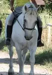 Equestrian Center Du Lonval