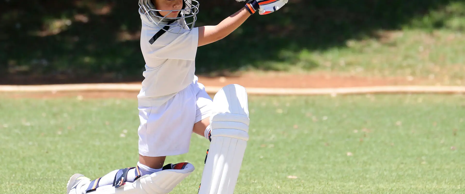 A New Star Cricket Academy Delhi