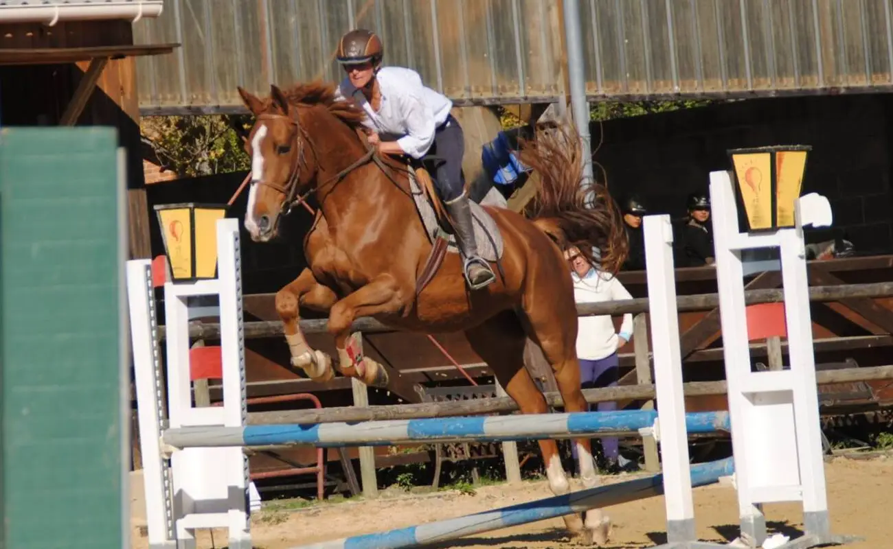 Ecuries les Herses