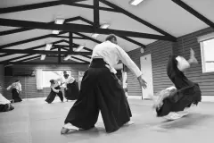 Aikido Wimbledon