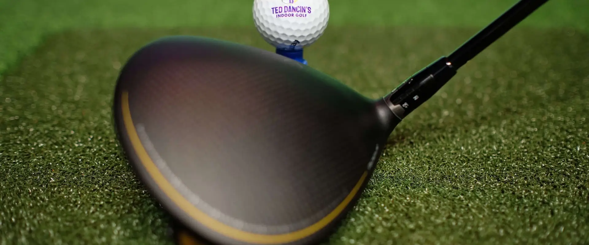 Ted Dancin's Indoor Golf