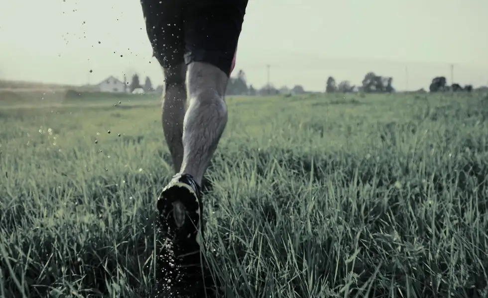 Fearn Fitness