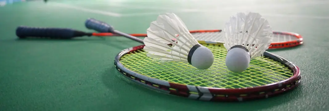 MDMSA badminton