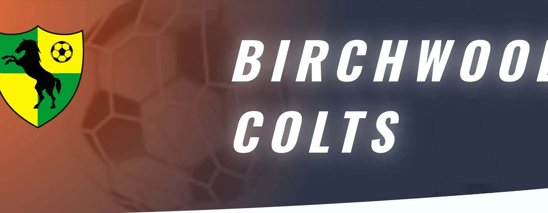Birchwood Colts