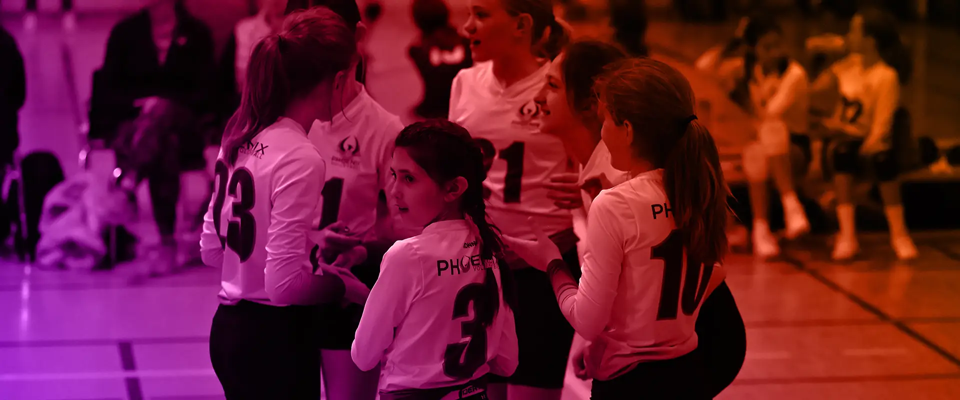 Phoenix Volleyball