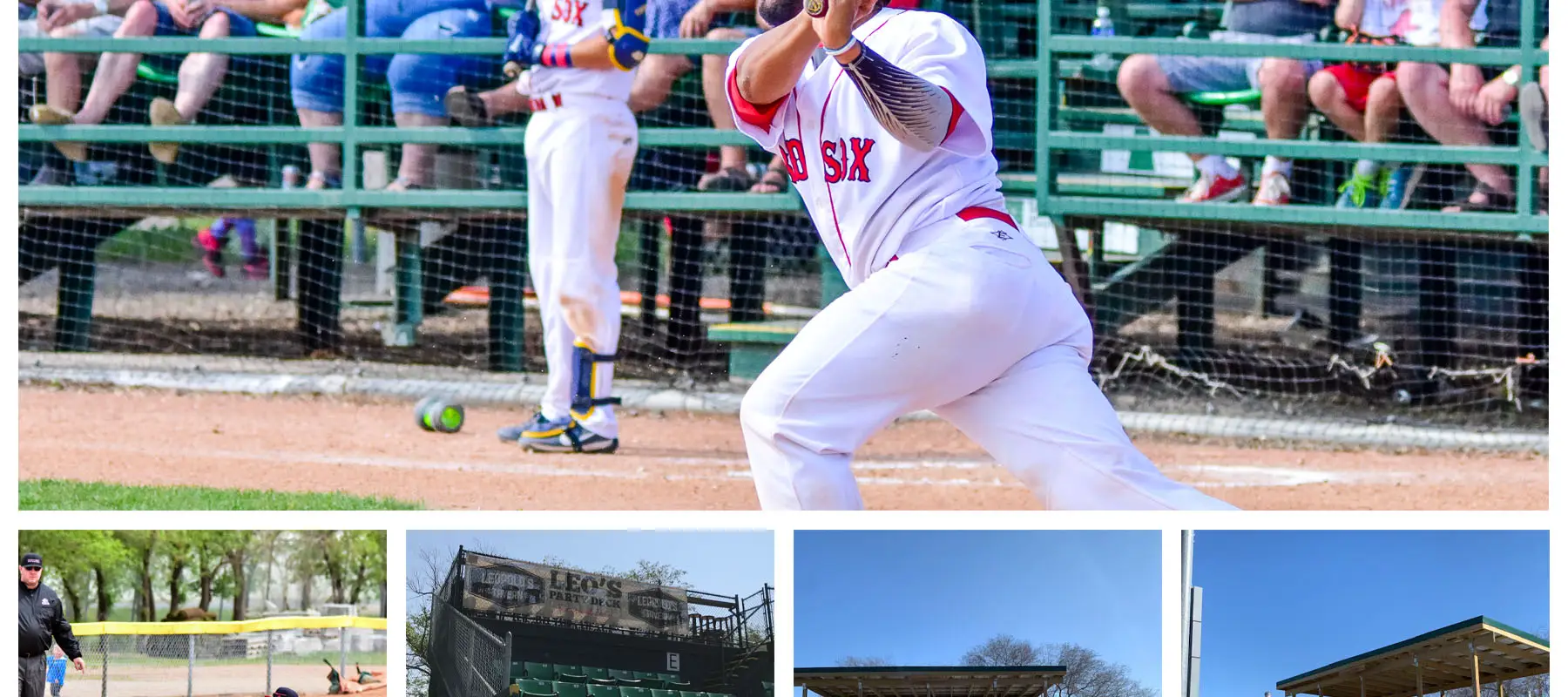 Regina Red Sox Baseball