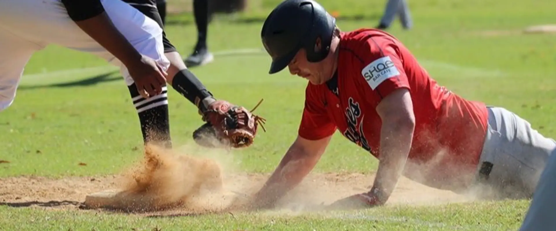Baseball WA