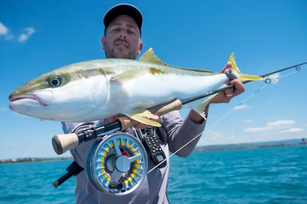 King Tide Salt Fly