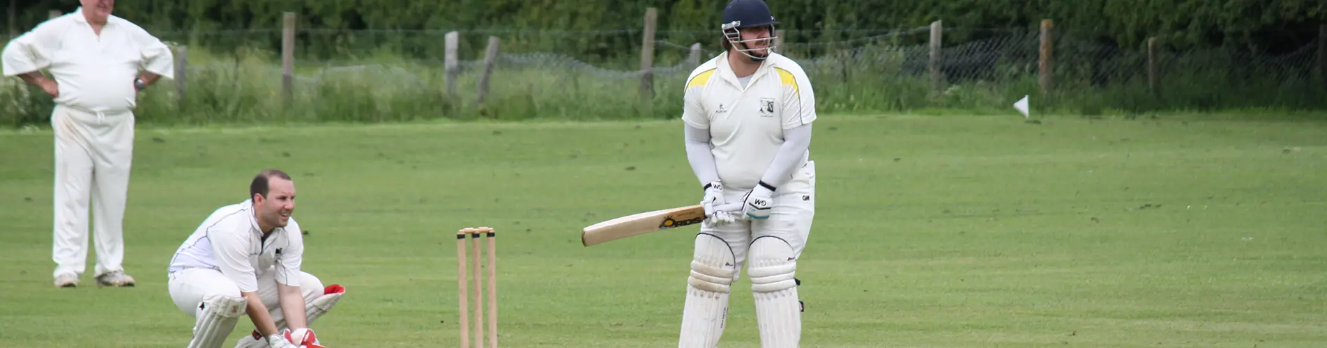 Wantage and Grove Cricket Club