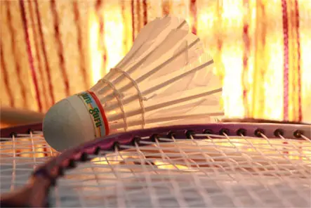 Peel Badminton Club - PBC