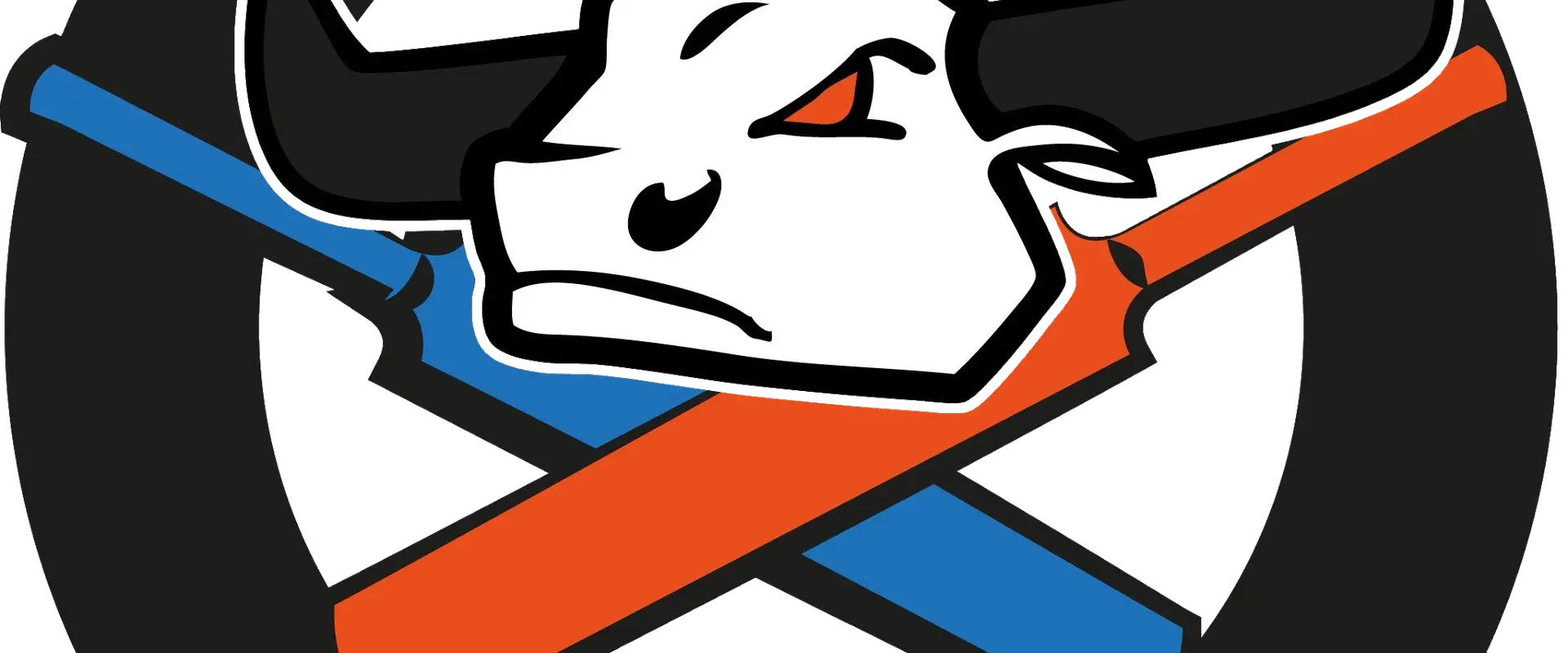 Association Française de Cricket