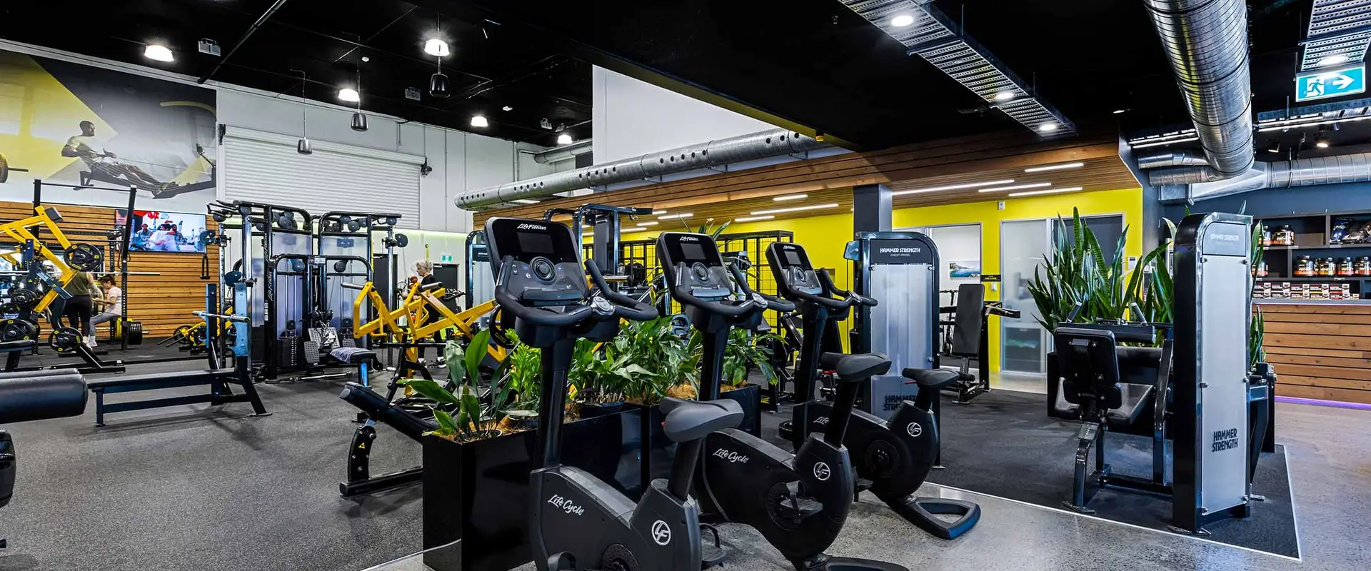 Flex Fitness Newmarket