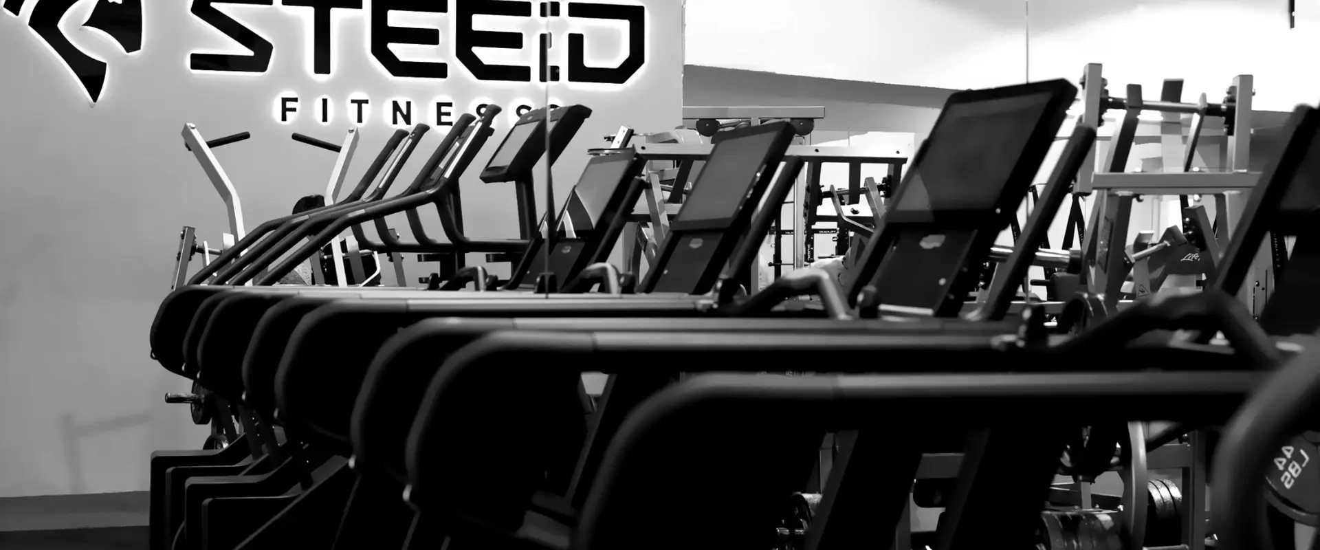 Steed Fitness Milsons Point