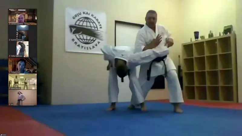 Goju Kai