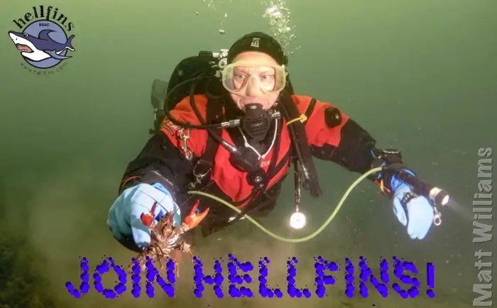 London Hellfins Scuba Diving Club