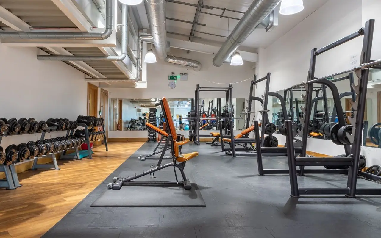 The Hive Gym