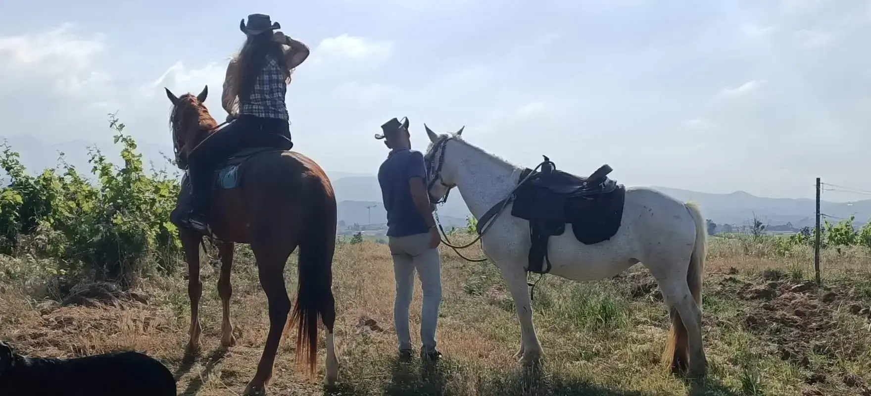 Le Ranch des Aspres