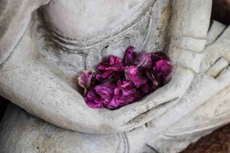 Yoga Essence Melbourne