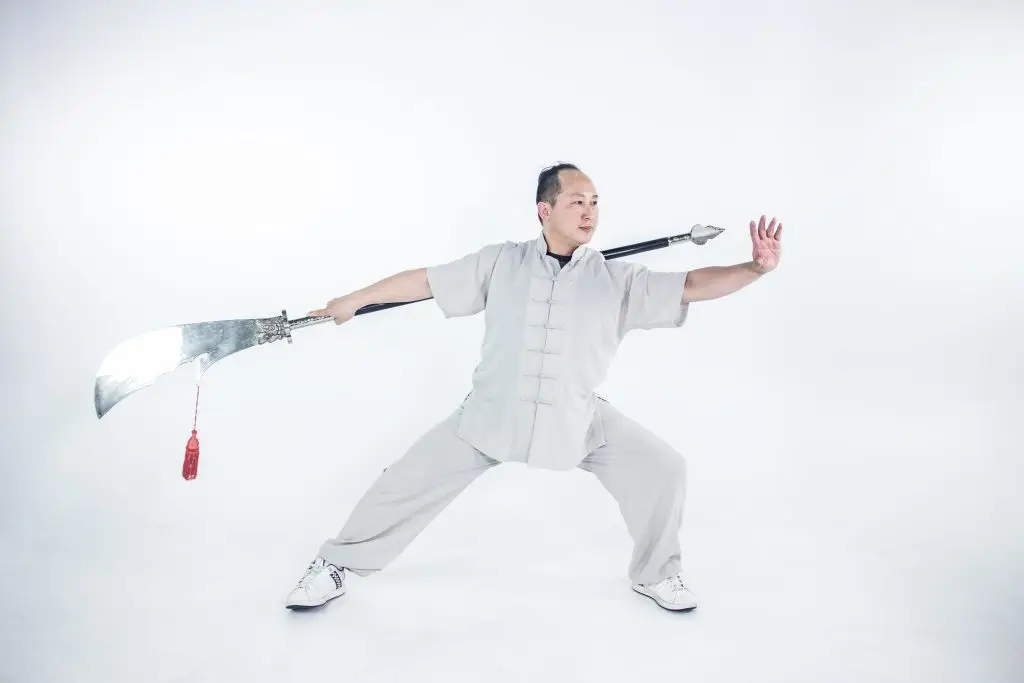 YS Traditional Chinese Medicine and Martial Arts College