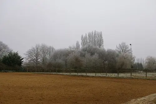 Stud De La Touchette
