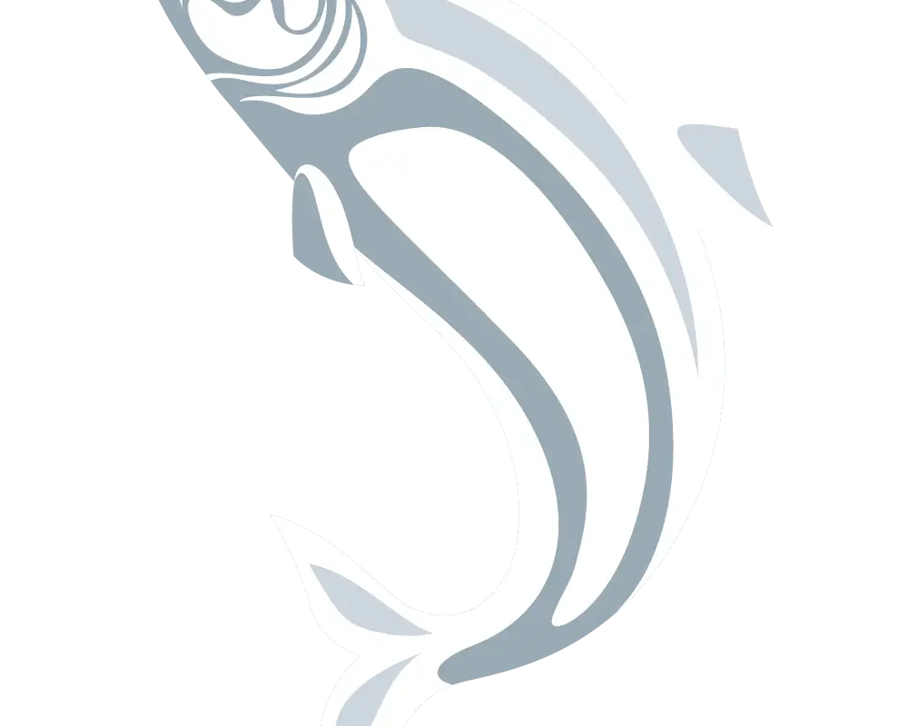 Wild Frontier Charters