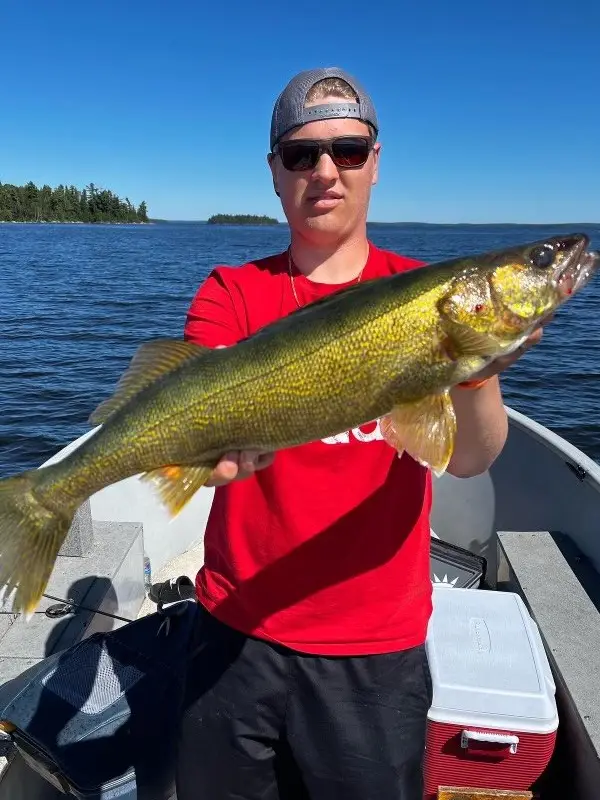 Lac Seul Evergreen Lodge