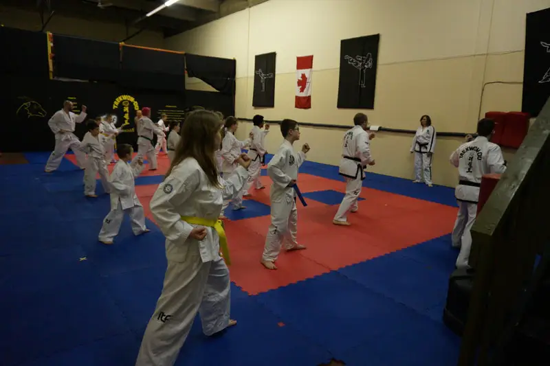 Guardian Taekwondo