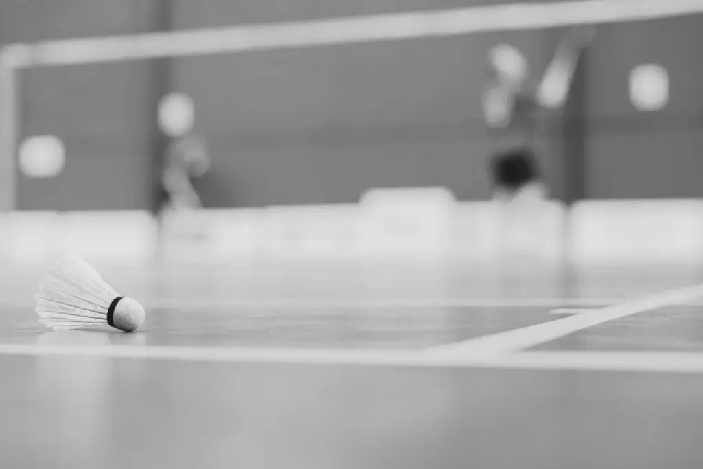 Club Sportif de Badminton Asniérois