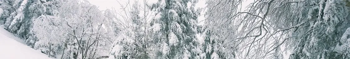 Rod Roy Ski School