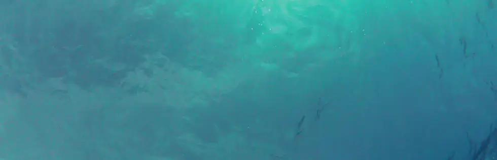 Hereford Sub Aqua Club