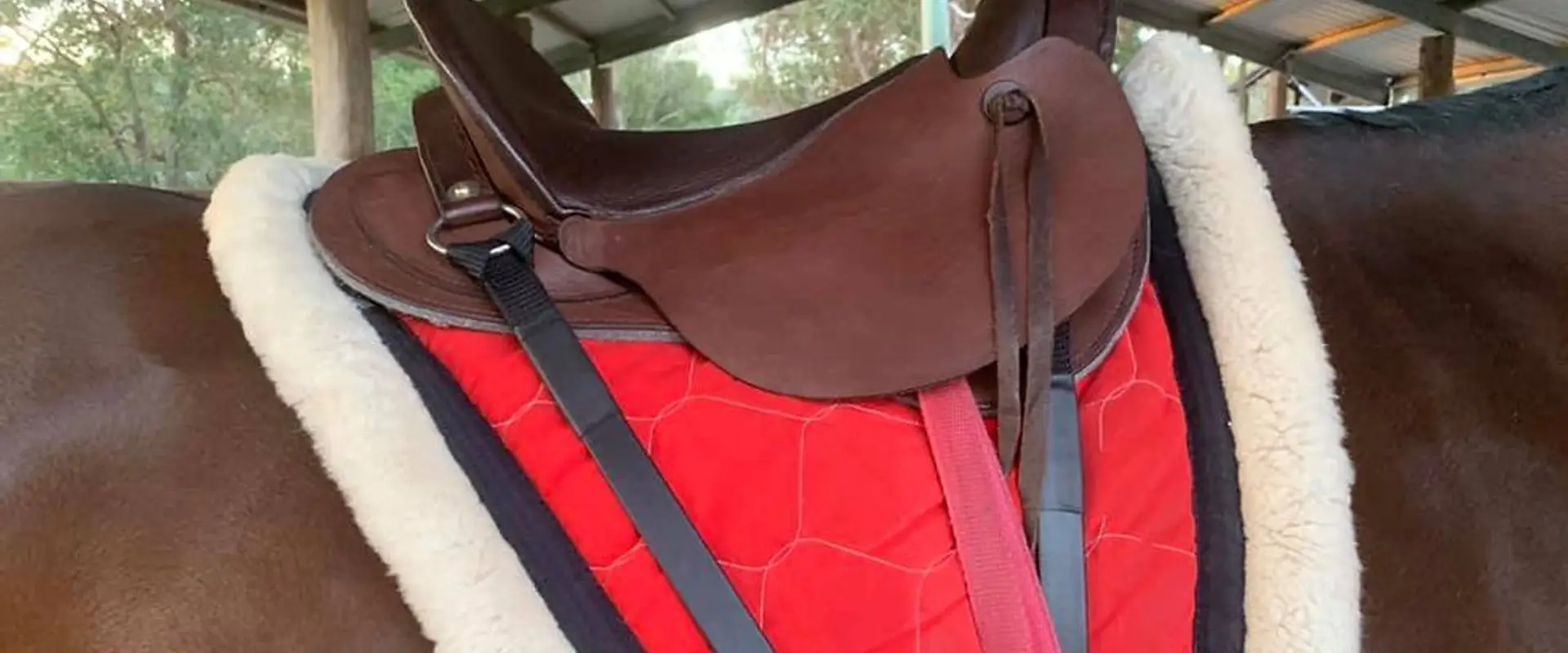Archer Horse Rugs