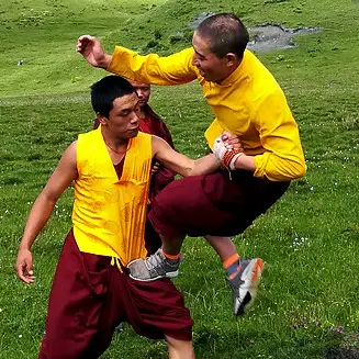 School L'ours Blanc Kung-Fu / Qi-Qong À Marguerittes Et La Grande-Motte