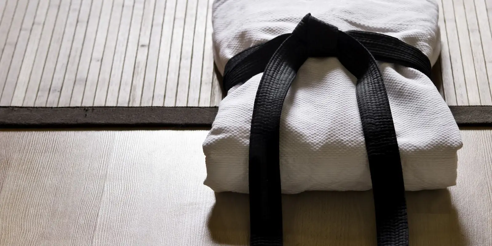 World Master Taekwondo Academy