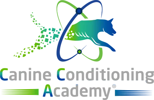 Canine Conditioning Academy