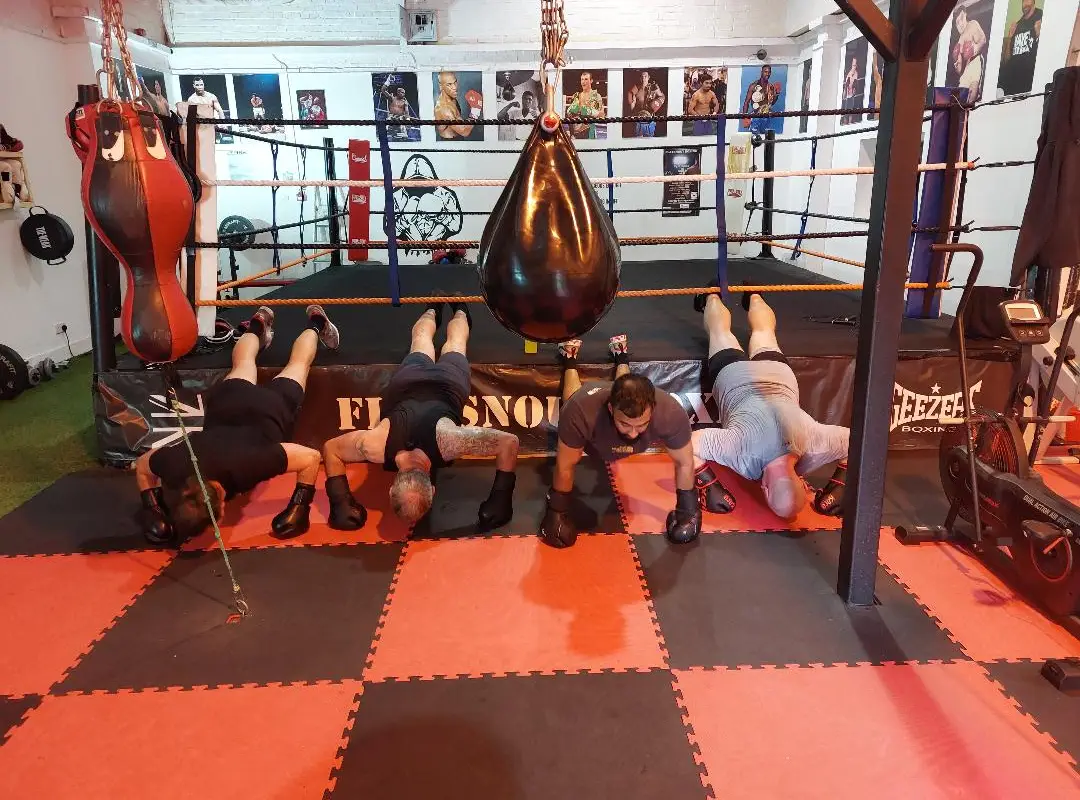 Flatsnout Boxing