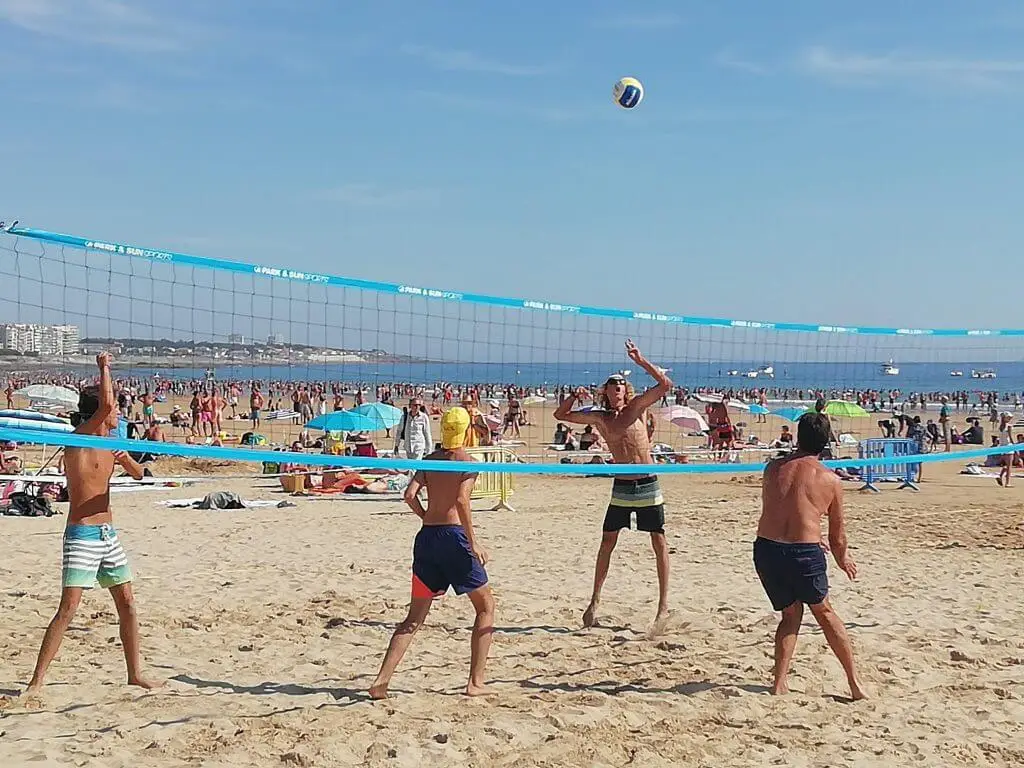Committee Vendée De Volley-Ball