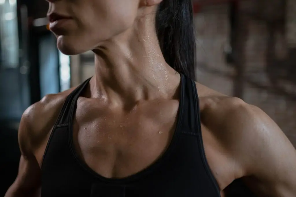 MegaGym