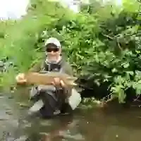 Guided Fly Fishing Taranaki and Taupo