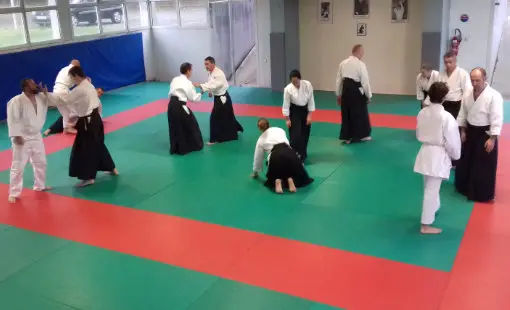 Aïkido Club Tarbais