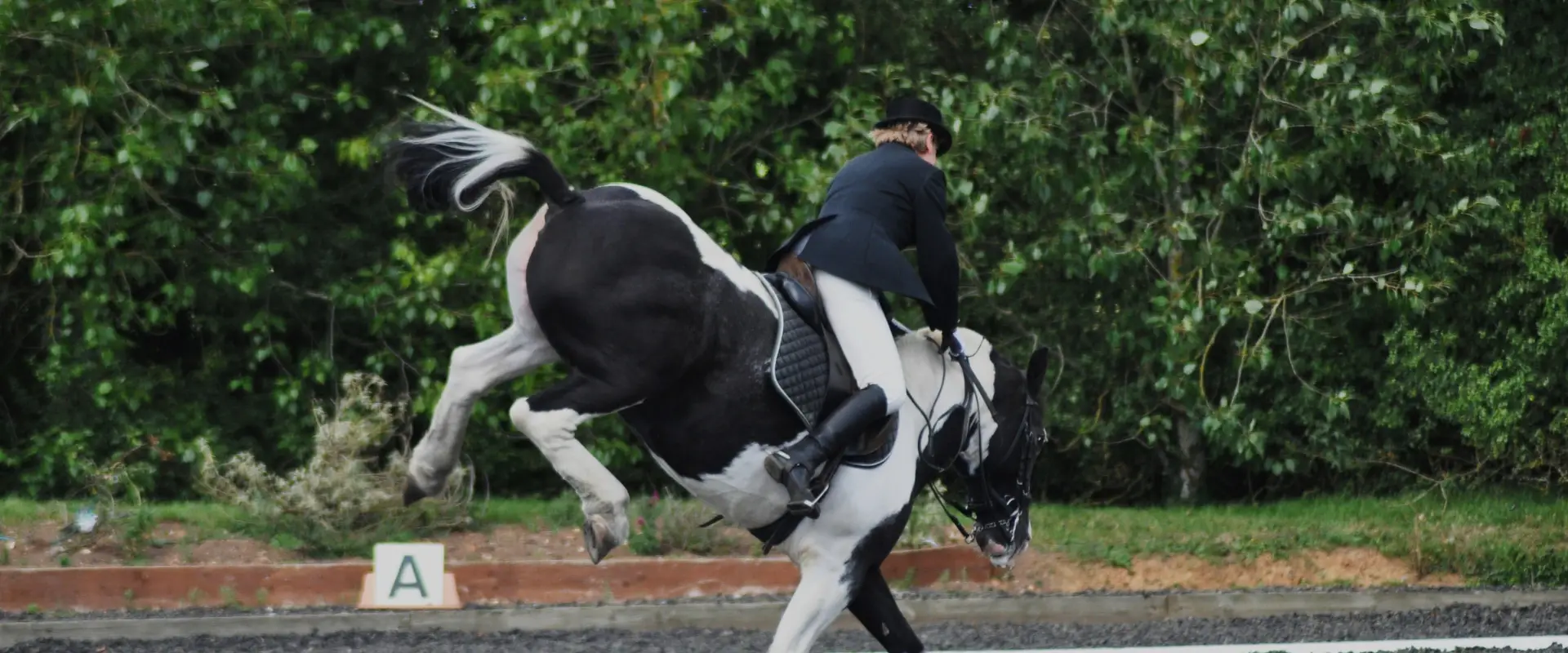 Wellbeck Farm & Equestrian Centre