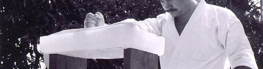 Shubukan Karate
