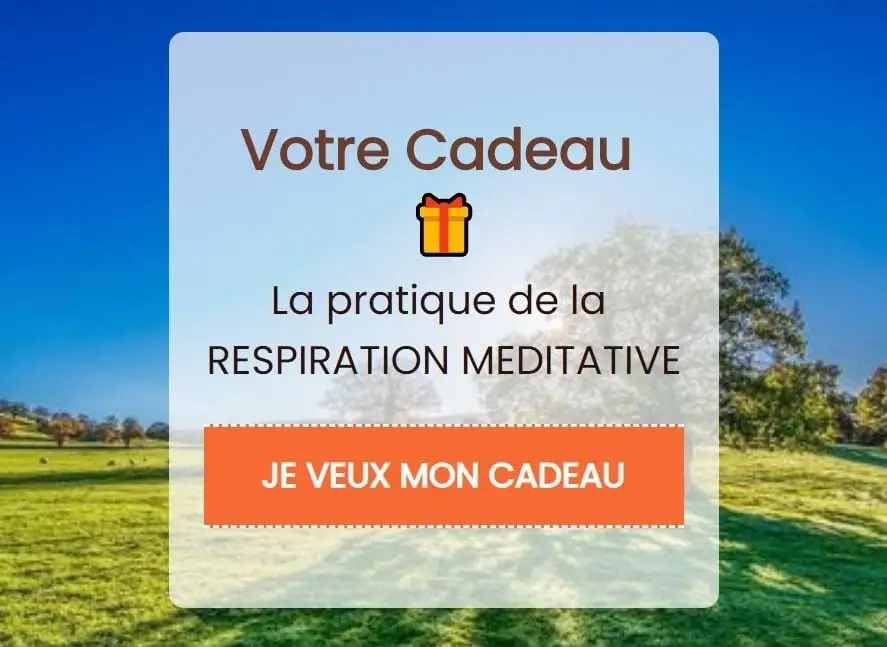 Coaching De Vue - Eva Beltant