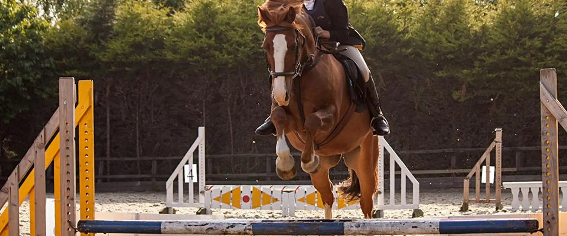 GoHorseRiding